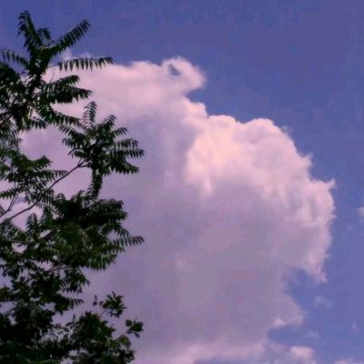 旭阳龙印最新版下载